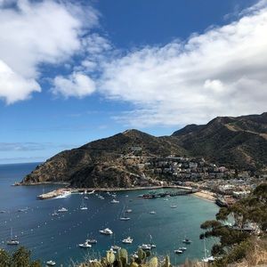 Meet your Posher, Casandra